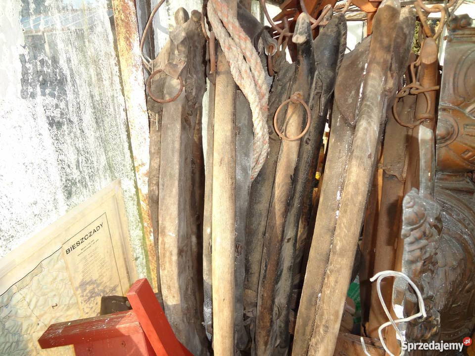 homonto konne Wrocław