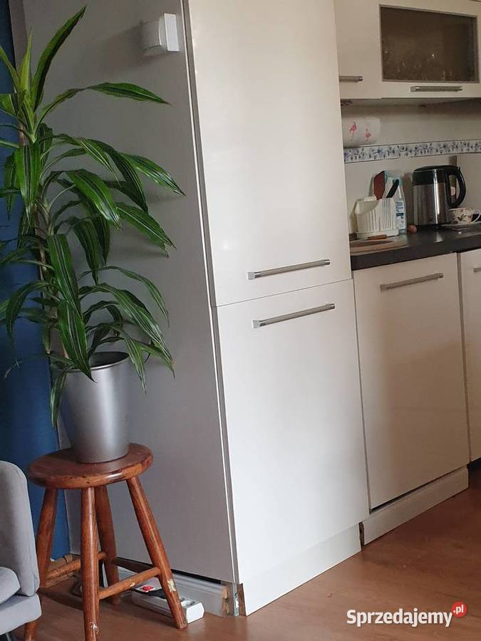 Lodowko zamrazarka Amica Lodówki i zamrażarki