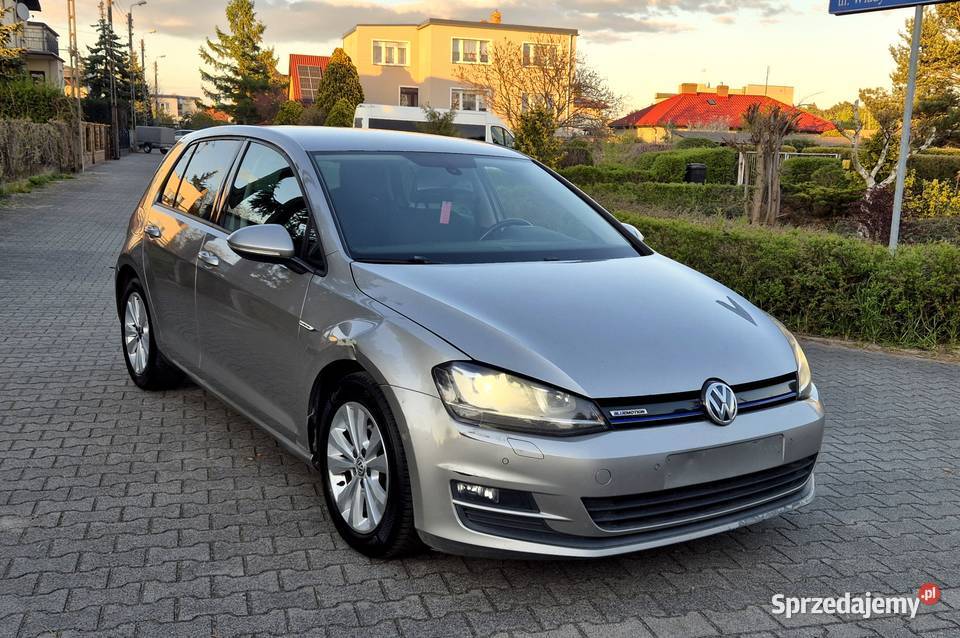 Volkswagen Golf 7 16 TDI BlueMotion 220000km wielkopolskie Leszno