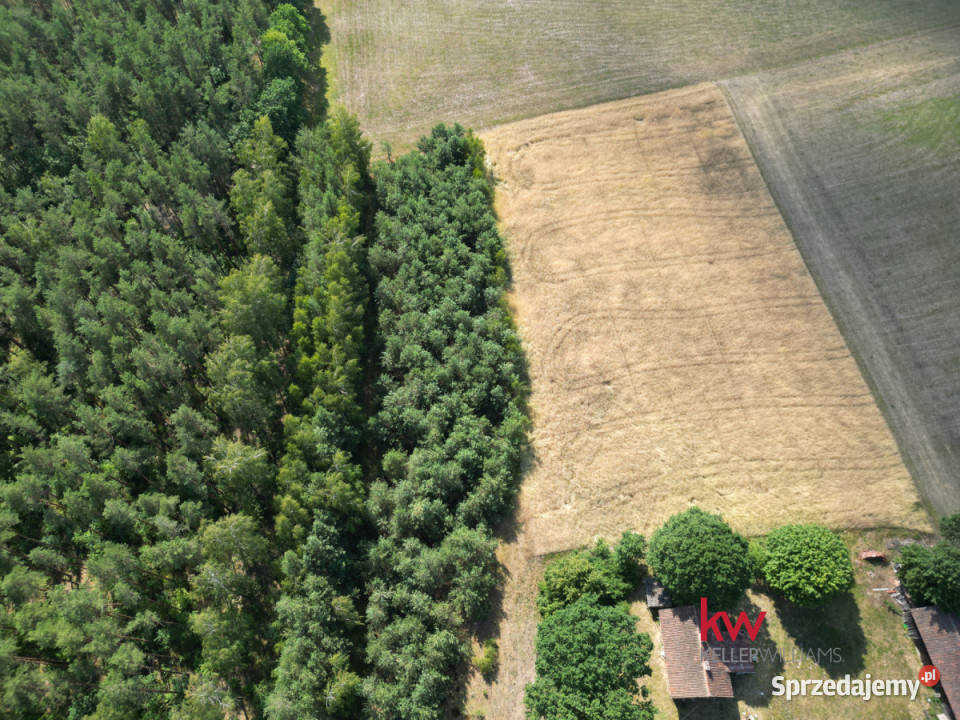 Grunt Jerominy 3702m2 Sprzedaż sprzedam
