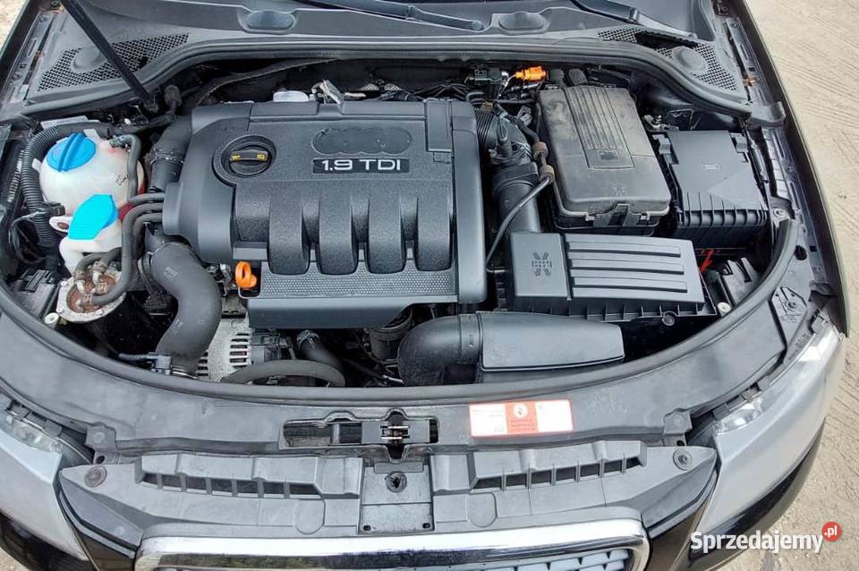 Audi a3 19 tdi 2008 Skóry 5Drzwi Linowiec
