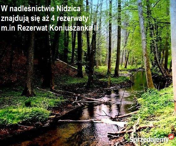 Działka na Mazurach Jeziorem Kownatki Dwie Rzeki Nidzica sprzedam