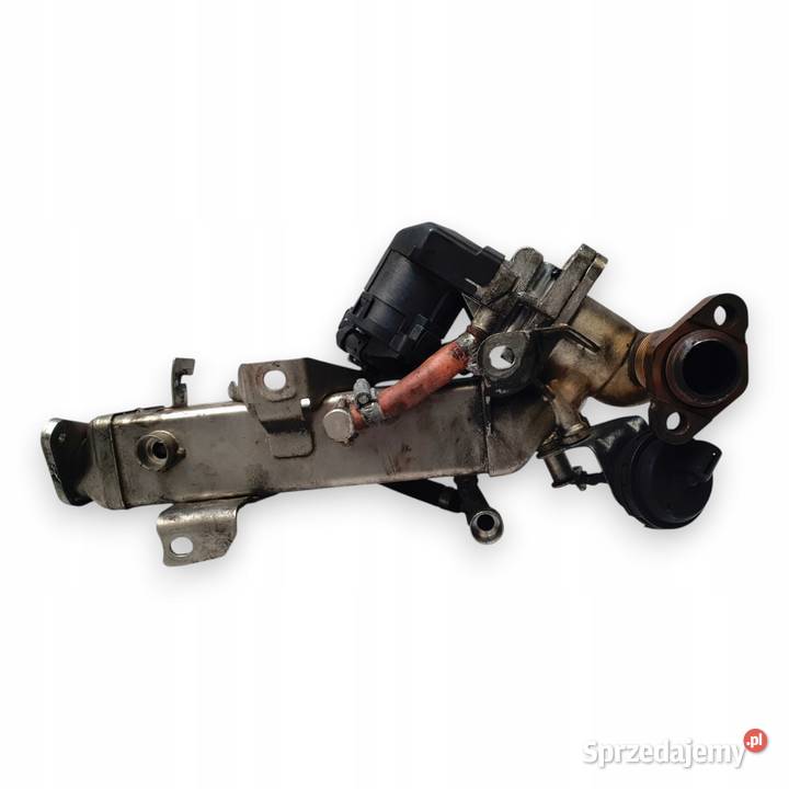 CHŁODNICA SPALIN BMW E90 E91 20 D egr 7810751 osobowe Chełm