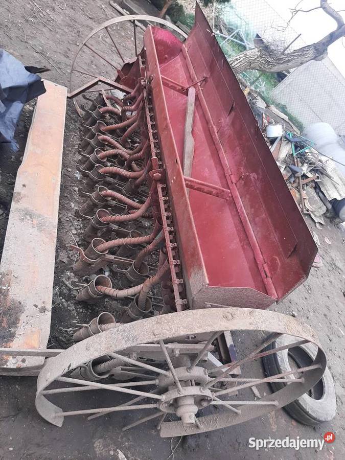 Siewnik zbożowy Maćkówka sprzedam