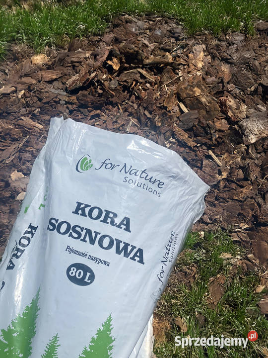 kora sosnowa 80l Ostaszewo