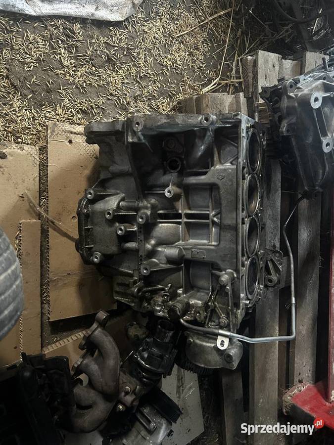 Sprzedam silnik 14 tce Przasnysz