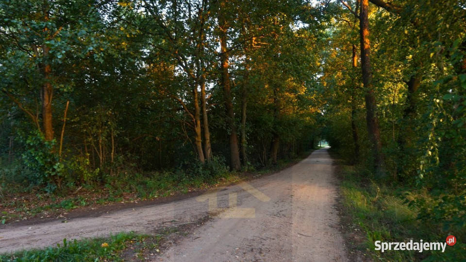 Działka letniskowa w pobliżu Narwi 28m mazowieckie Ostrykół Dworski sprzedam