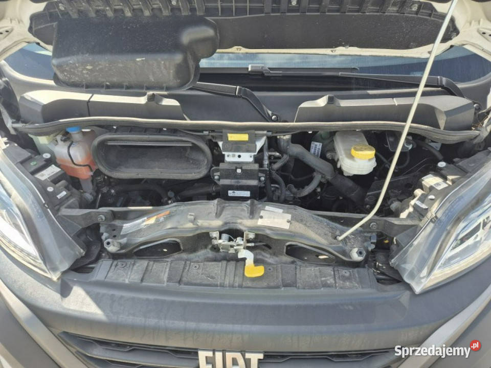 Fiat Ducato Fiat Ducato Poleasingowe Fiat dolnośląskie
