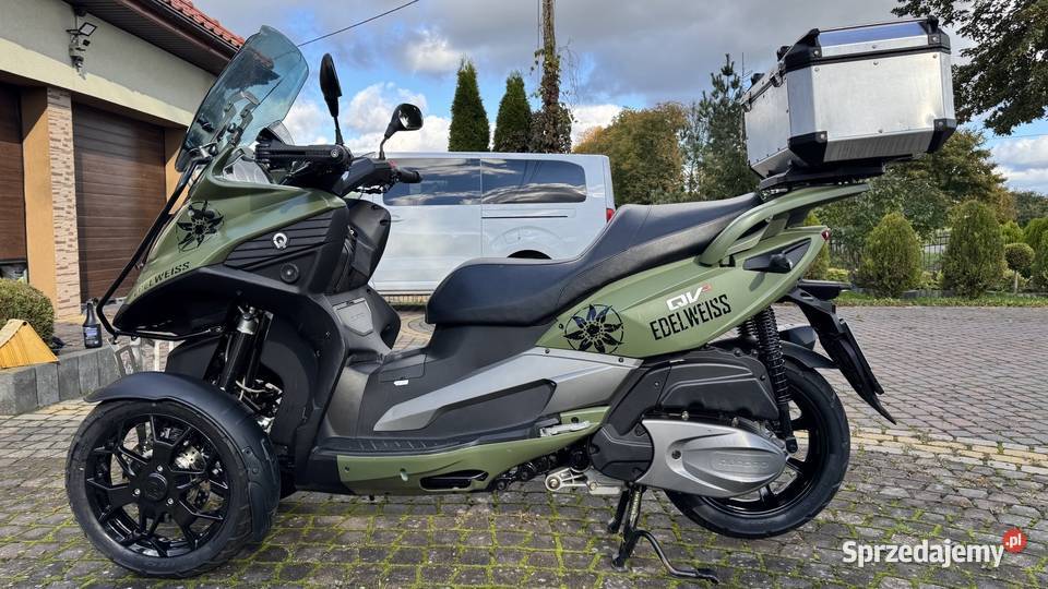 QV3 Quadro Edition Edelweiss 3503 Działdowo