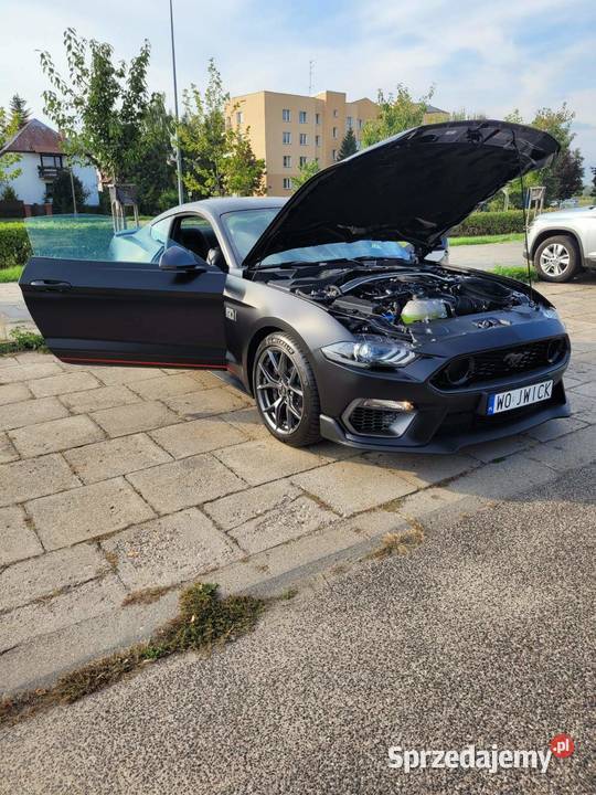 Ford Mustang 50 V8 Mach 1