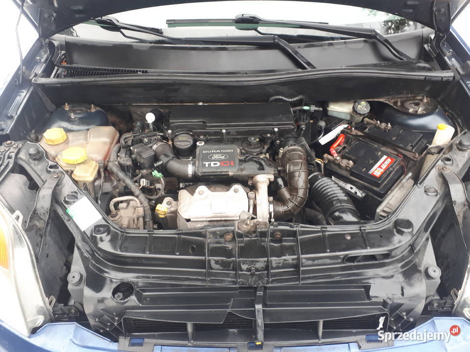 ford fusion 14 tdci diesel Poręba