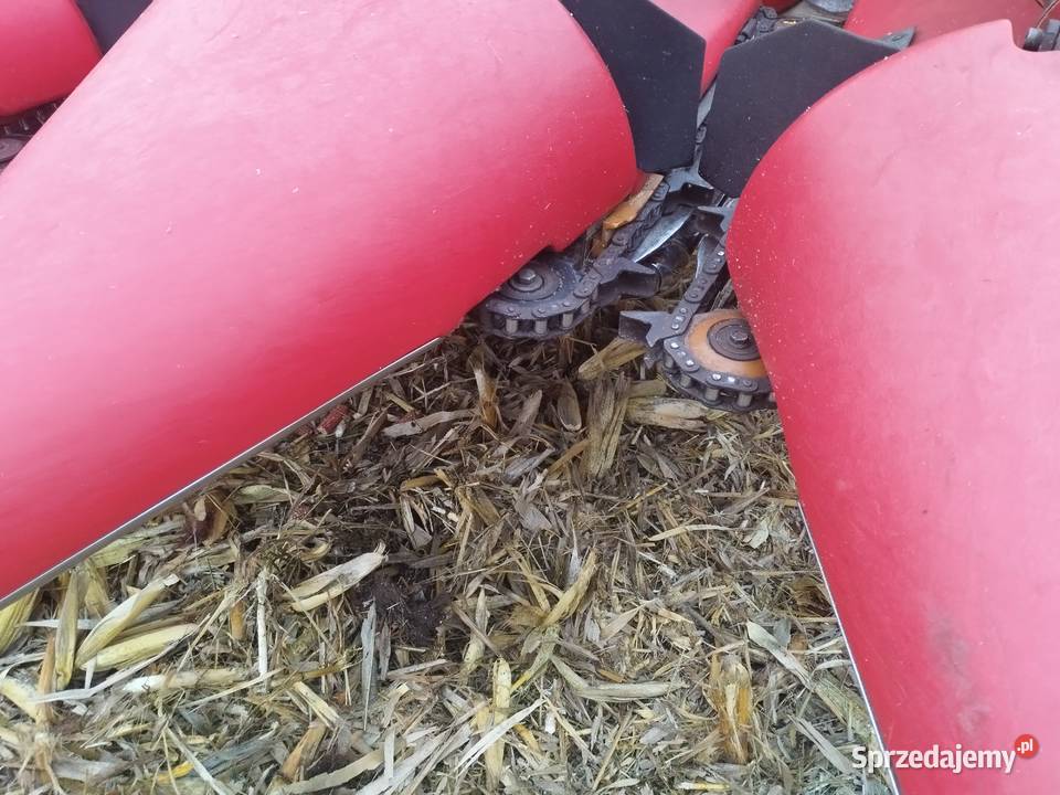Przystawka do kukurydzy Capello quasar R6 nieuszkodzony wielkopolskie Konin