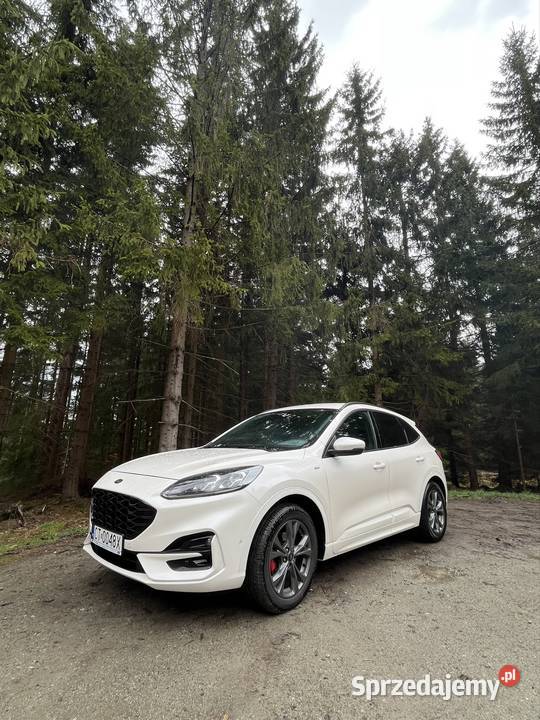 Ford Kuga MK3 STline salon bezwypadek 4x4 full 2000cm3 dolnośląskie Kudowa-Zdrój