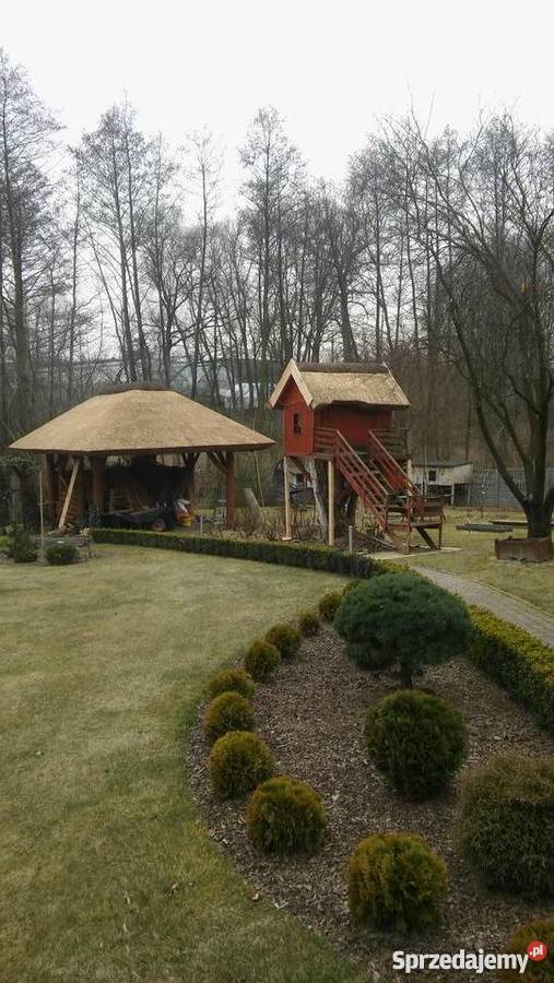 Dachy trzcinowe altana trzcina remont renowacja Stogi