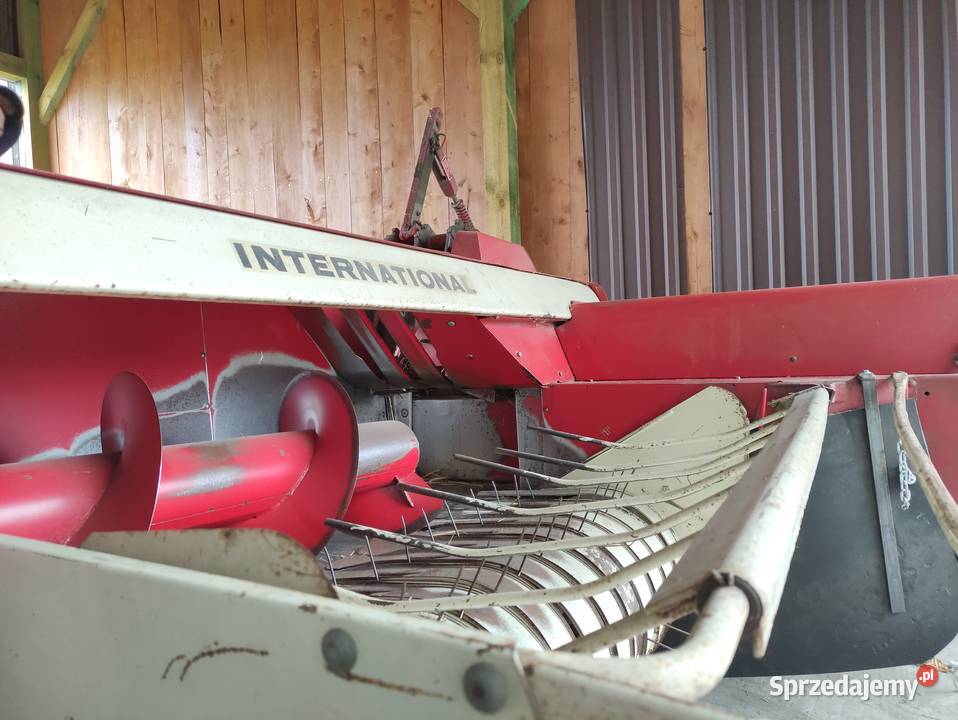 Prasa international 440 Niwiska