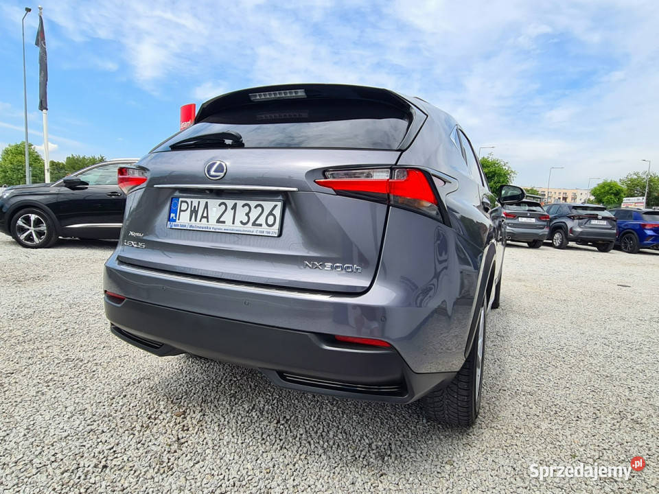 Lexus NX Navi 2xPDC Kamera 360 Wągrowiec