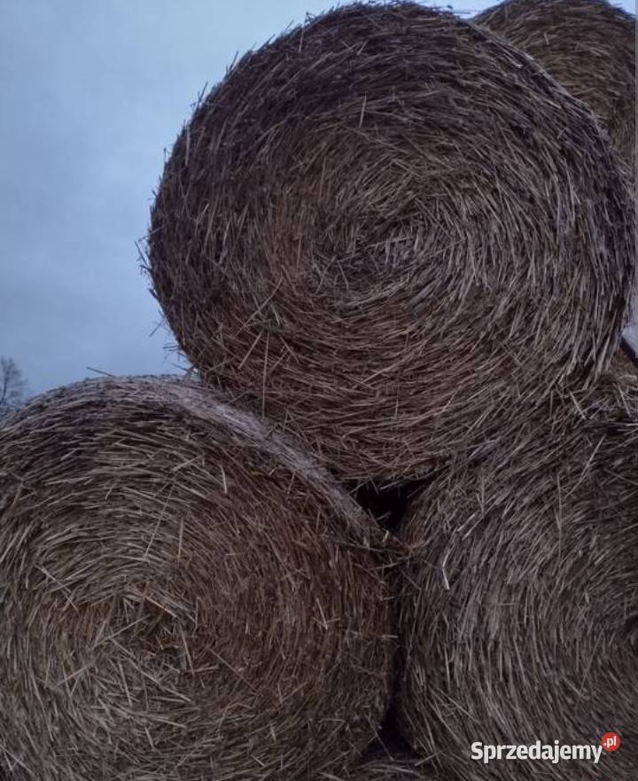 Sprzedam słomę Działoszyce sprzedam