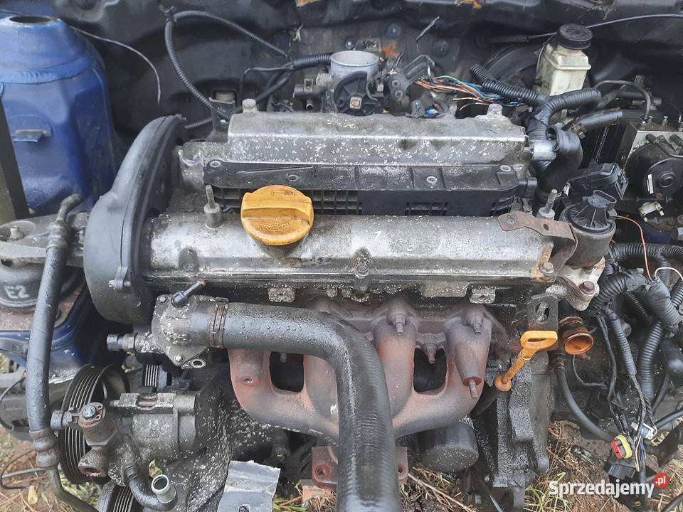 SILNIK CHEVROLET LACETTI NUBIRA 18 16V F18D3 Ksawerów