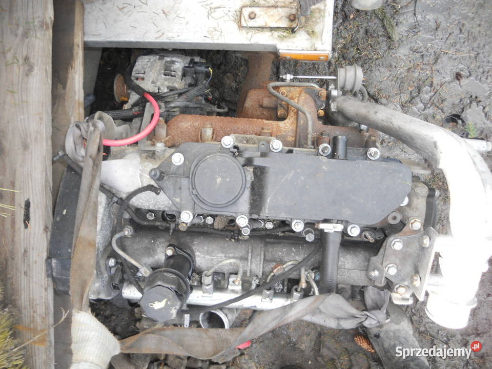 Iveco Daily Fiat Ducato Silnk 23 td Silnik 06 Silniki i osprzęt Dębica sprzedam