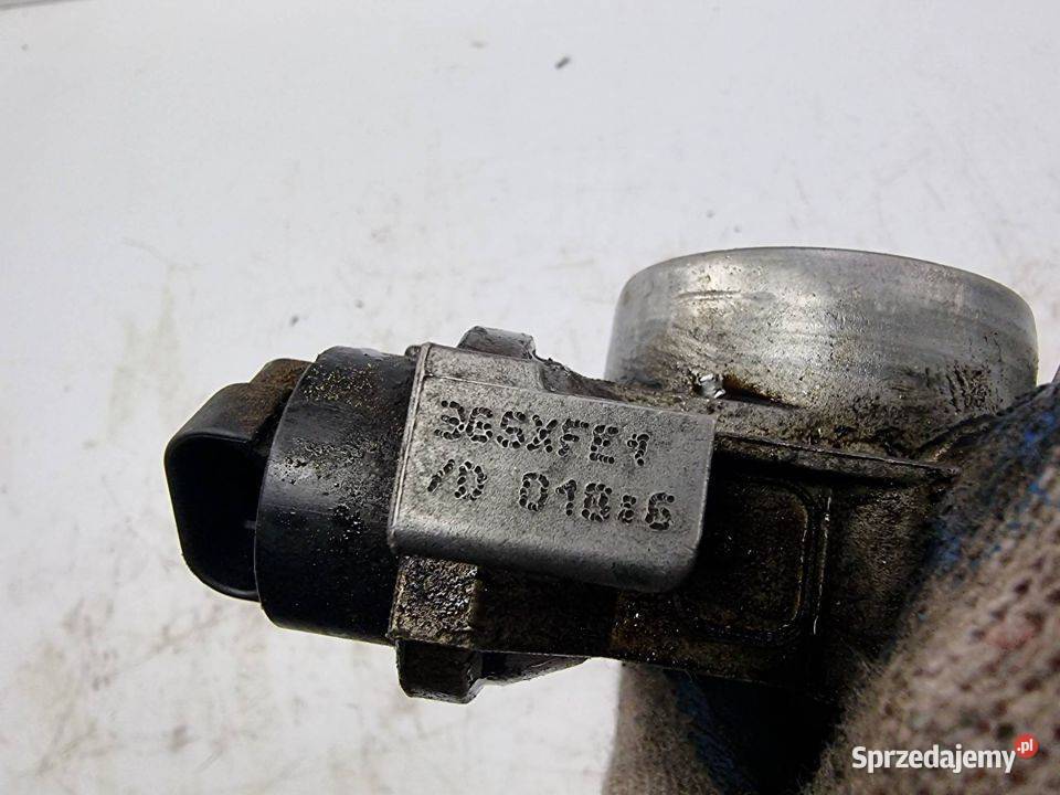 PRZEPUSTNICA FIAT PANDA 365XFE1 osobowe kujawsko-pomorskie Lipno