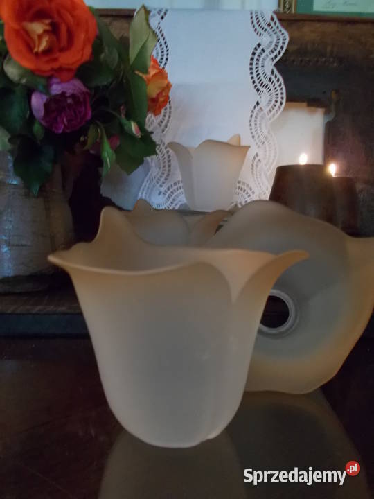 Piękny Klosz Kwiat Kalii Grube Szkło Lata 90 zachodniopomorskie Szczecin