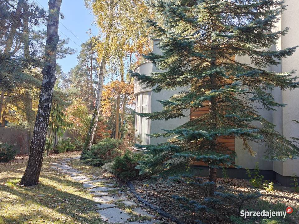 Syndyk sprzeda Łomianki Akacjowa