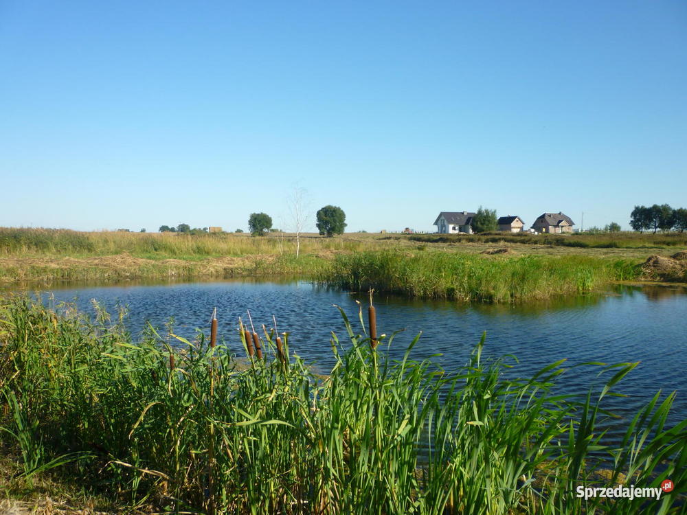 jez Miedwie działki budowlane sprzedam