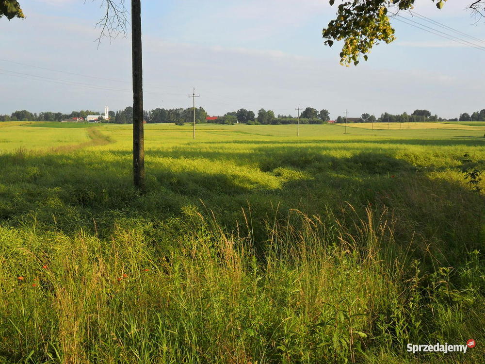 Działka budowlana PRUCHNA Cieszyn