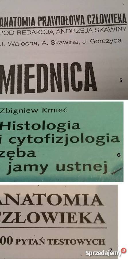 stomatologia medycyna książki skrypty anatomia Rok wydania 2017 Książki naukowe i popularnonaukowe Kielce