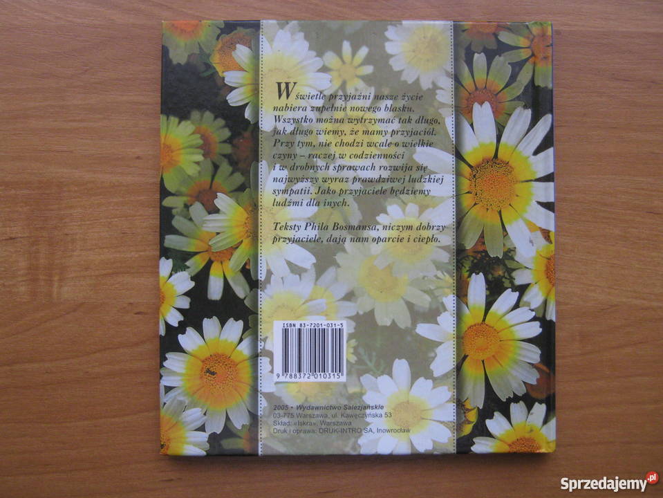 Słoneczne Słoneczne promyki przyjaźni