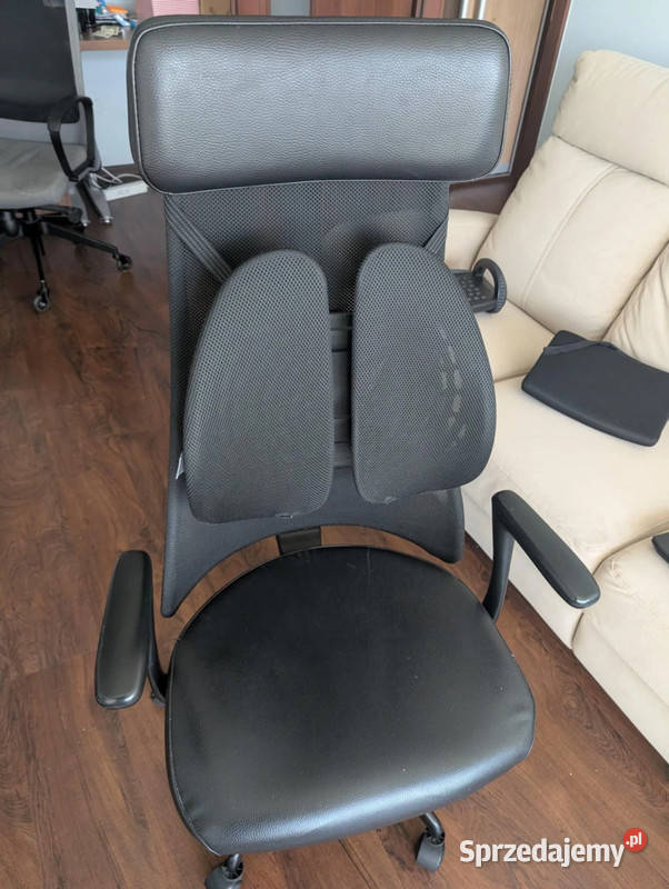 Ergonomiczne podparcie pleców Back Angel firmy pomorskie Gdańsk