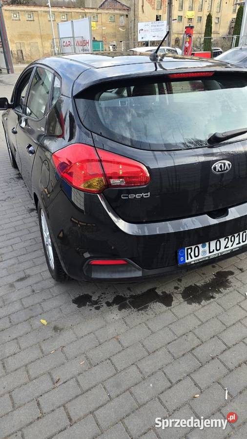 1 własciel serwis do konca 2015 Wałbrzych