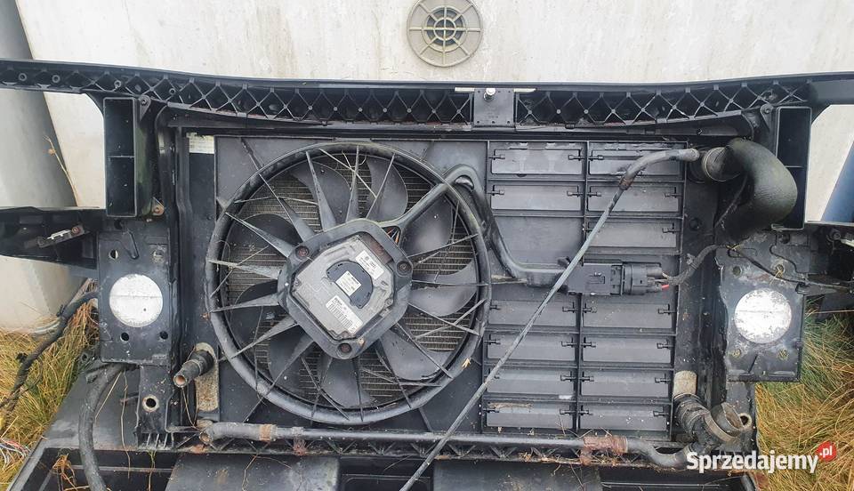 Pas przedni Audi A8 D3 42 bfm kompletny Pasy przednie i tylne Szamotuły