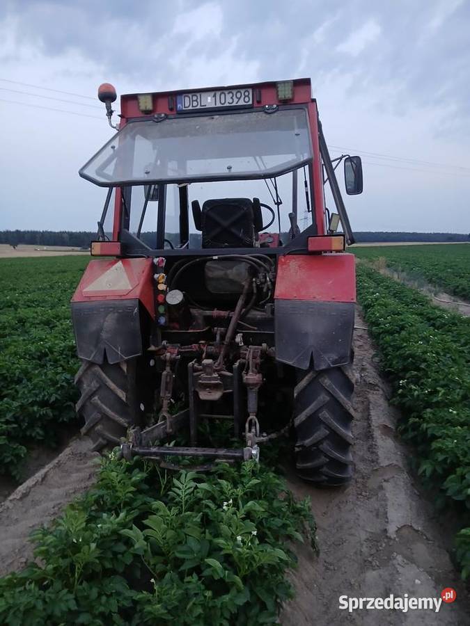 Mtz 82 tur Bolesławiec sprzedam