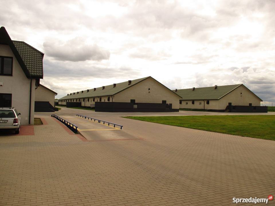 Budowa Chlewni Obór Kurników TANIO SZYBKO