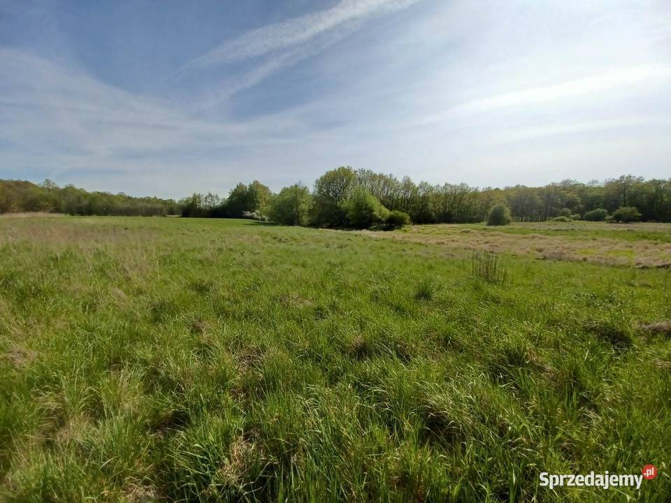 Działka rekreacyjna Gliniany