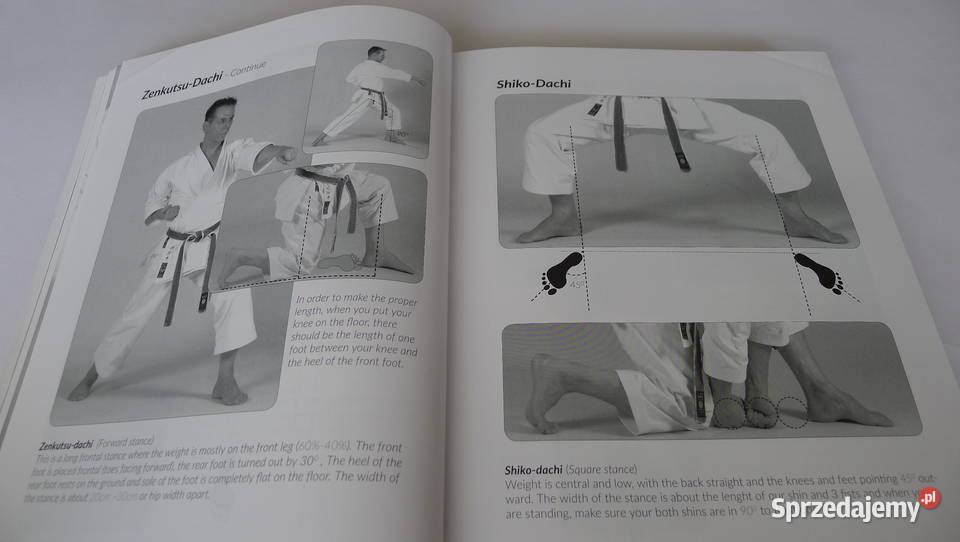 TANZADEH 8 Dan DYNAMIC SHITO RYU KARATE Radom