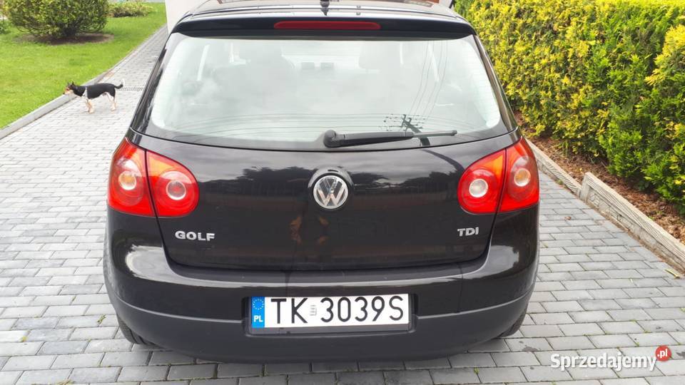 Volkswagen Golf 5 19 TDI 105 2007r 105KM Kielce sprzedam