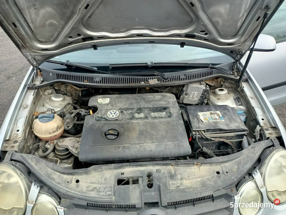 Volkswagen Polo Volkswagen Polo 14 03r IV nieuszkodzony Tarnów