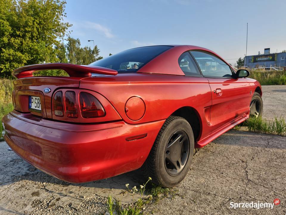 Ford Mustang sn95 38 V6 Manual Września