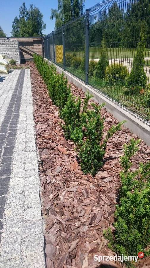 Kora ogrodowa ozdobna dekoracyjna Brzesko sprzedam