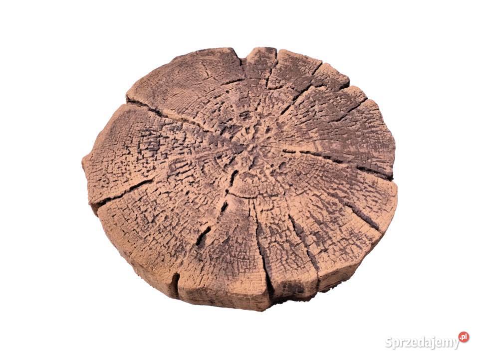 Płyta ogrodowa Pniaczek efekt drewna trwałość małopolskie Żelichów