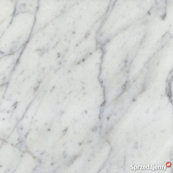 Płytki Marmurowe CARRARA BIANCO 457x457x1 Przemyśl