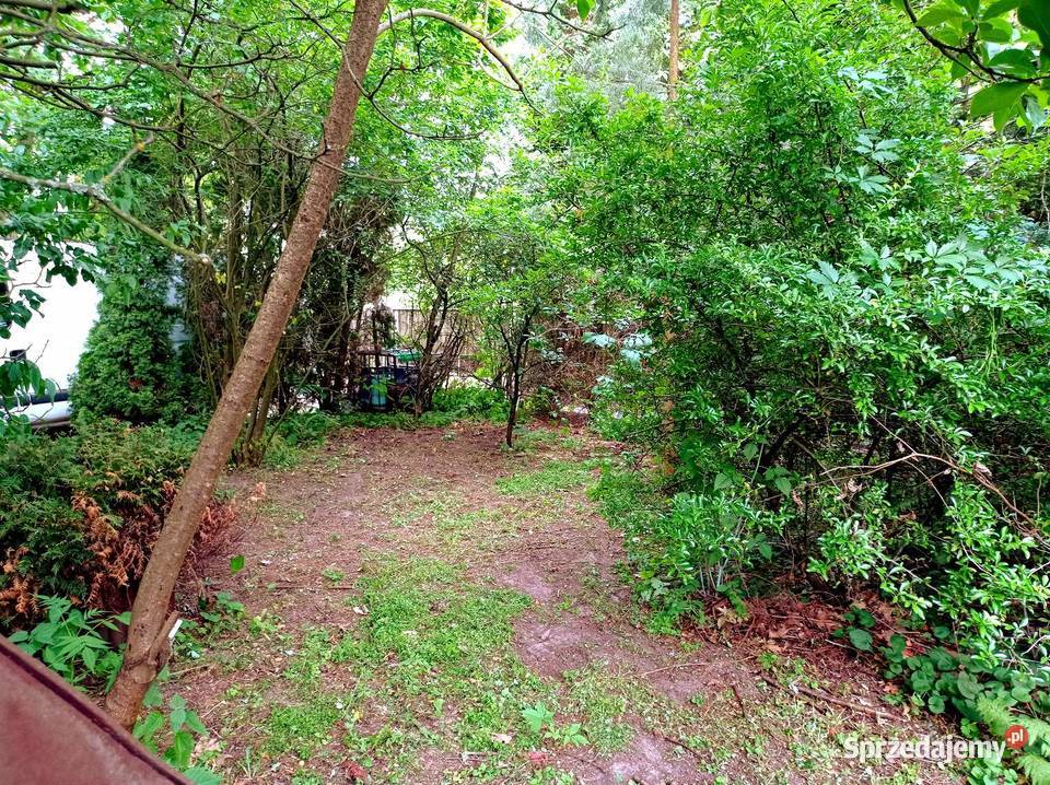 DWA DOMY POD LASEM CAŁOROCZNE OKAZJA wolnostojący mazowieckie Chynów