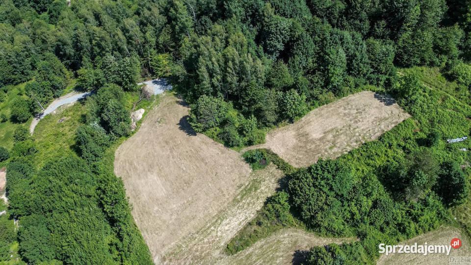 Sprzedam działka 3671m2 Żarnówka os Grapa