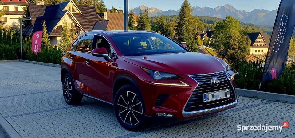 Piękny LEX PoLIFT Hybryda Gwarancja ASO Nowy Sącz