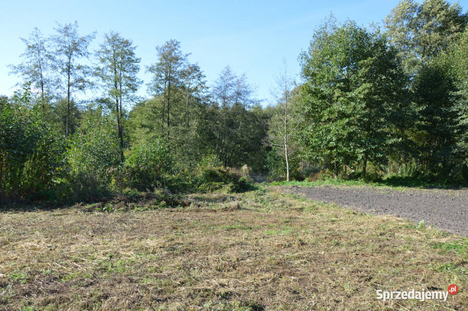 Duża działka Baranówka 21 a sprzedam