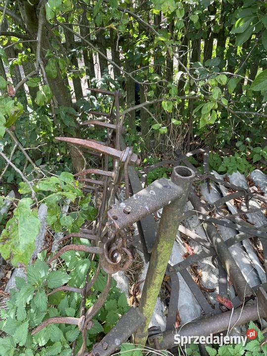 Brony połowę ciężkie 5