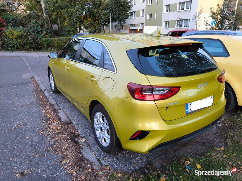 Kia Ceed 2021 Mały przebieg Igła bluetooth Cee'd Bydgoszcz