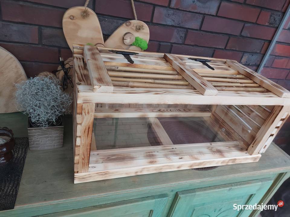 Terrarium żółwia jeża pigmejskiego Opole